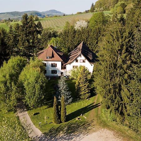 Hotel Gaestehaus Kaltenbach à Staufen-en-Brisgau Extérieur photo